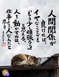 めがしんでます。