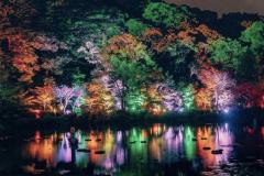 こんばんは〜🌌