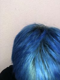 今のハルの頭は……笑