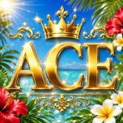 派遣型メンズエステ　ACE　求人君