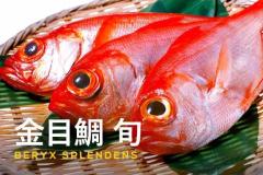 鹿児島ちゃんこ薩摩川内店　すいれん