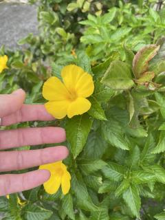 出勤します^_^