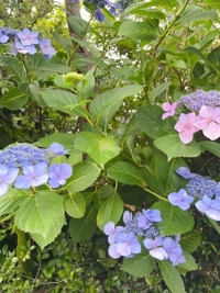 お疲れ様です