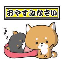 今からッ?