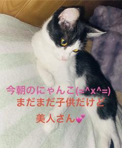 昭和（沖縄・完全個室プライベートエステ）　与那嶺綾子