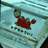 マドンナSANSAIN(宮崎市) まりあ