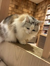 癒し補給してきた？？？？