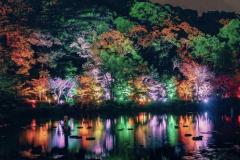 人妻24時　しずく
