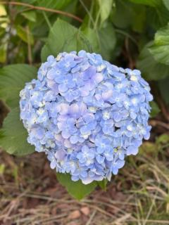 18日11:30から(*???*)??
