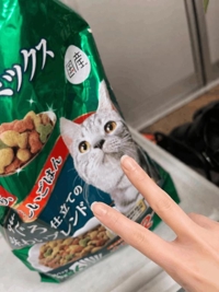 TheGrandPhoenix　みほ※令和初の超感動！