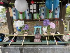 ご主人様いらっしゃい 大分店　神舌ゆい♡最強エロ女♡新ウルトラコース50分から