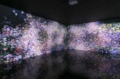 人妻24時　しずく
