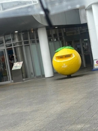 大事なお知らせ*ﾟ