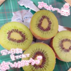 鹿児島ちゃんこ 天文館店 あまね ????????