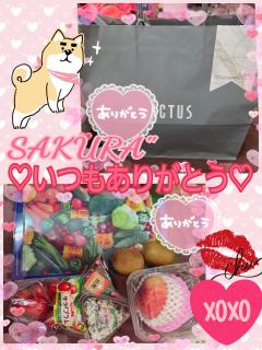 MICHELIN ミシュラン サクラSakura 今日も感謝でした😭💖