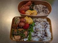マドンナSANSAIN　はるな