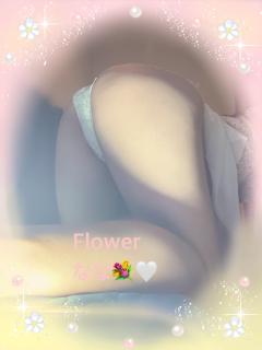 Flower(フラワー)　
