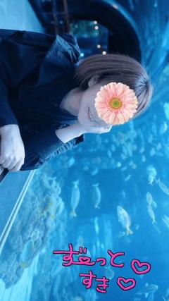 はるかのラジオ始めました?