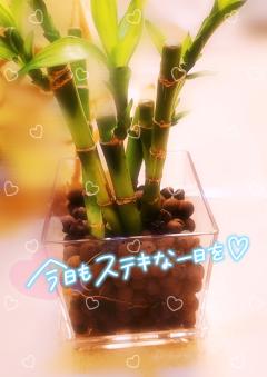 ベビードール　あやね