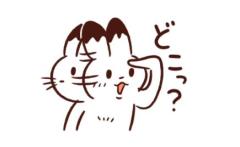 鹿児島ちゃんこ薩摩川内店　こむぎ