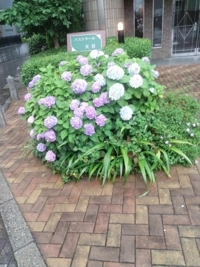 待ちナビ　るか