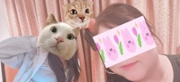 あららやっちまったw