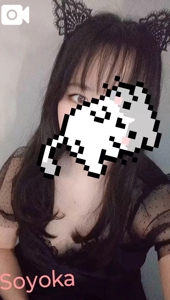 猫派です。にゃんにゃんです。