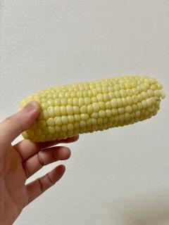 とりこ?