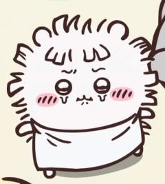 本日完売しました🌸