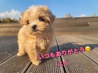 予約出勤に変更