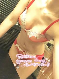 月花美人　