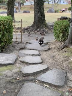 明日☆出勤します(^^)