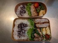 マドンナSANSAIN　はるな