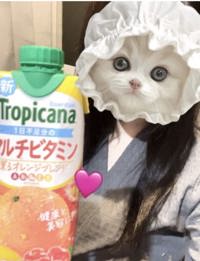 おはよう出勤