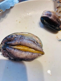 待ちナビ　らん