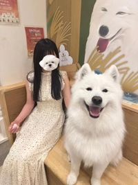 夜も