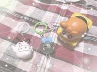 めちゃくちゃ寝てた