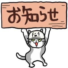 ぽちゃカワましゅまろ～GRINDグループ～ 宮崎市デリヘル 体験まさき 写メ日記「お知らせ」