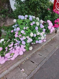 お疲れ様です