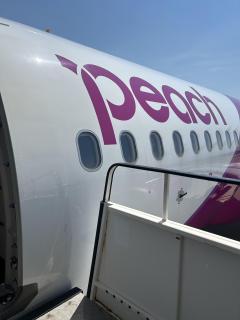 帰ります✈️次回7/4~予定📍