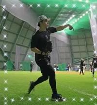 プロ野球、結果