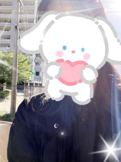 ホワイトハウスのはじめましてさま
