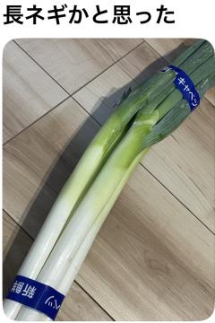 数日休みます🎌