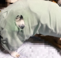 犯人はすぐ近くにいました。