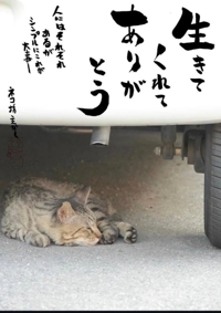 出勤です