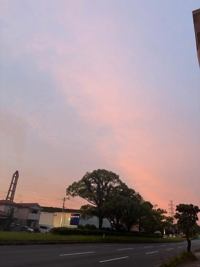 旅行することっ