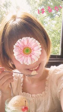 エンタメGR　はるか