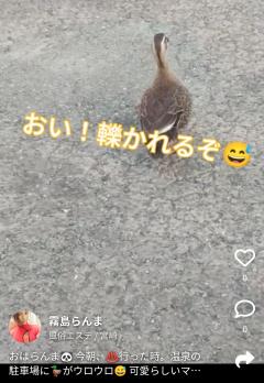 ネギを背負って来なくても大丈夫ですよ😙