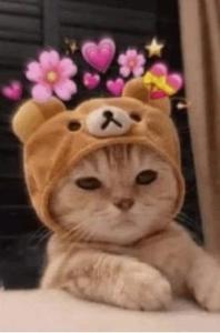 ありがとうございます