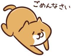 急遽ですが金曜日までお休みします